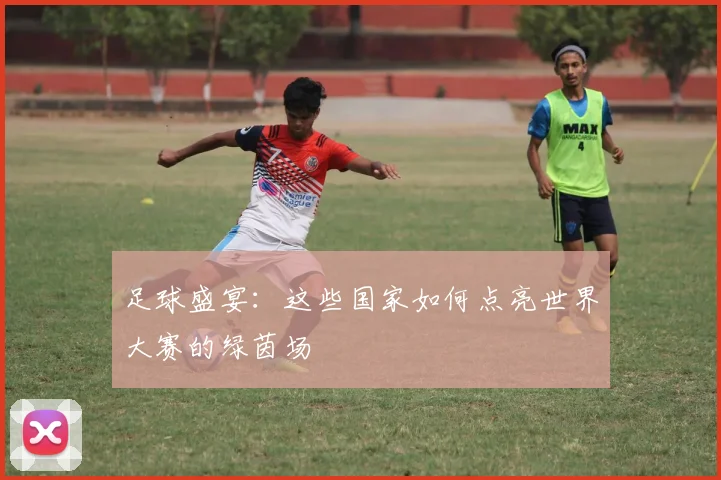 足球盛宴：这些国家如何点亮世界大赛的绿茵场
