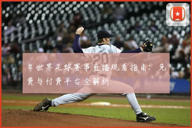 年世界足球赛事直播观看指南:免费与付费平台全解析