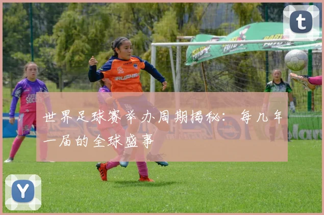 世界足球赛举办周期揭秘:每几年一届的全球盛事